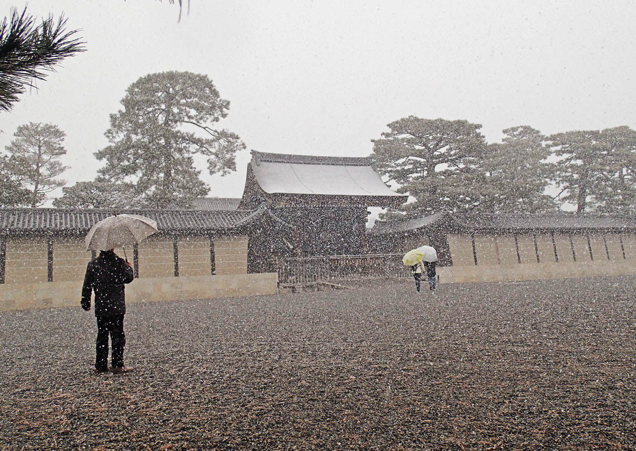 雪が降る京都御苑