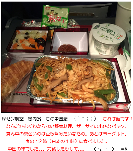写真2　深セン航空　機内食　この中国感　（＾＾；；）　これは麺です！