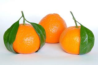 1024px-Mandarin_Oranges_(Citrus_Reticulata).jpg