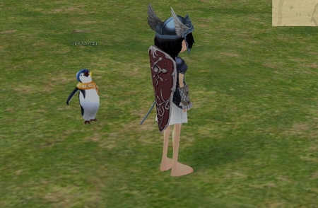 ペンギンの愛嬌