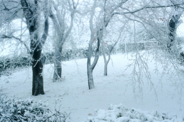 snow2013