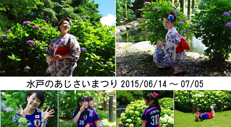 2015-ajisai-yokoku-01.jpg
