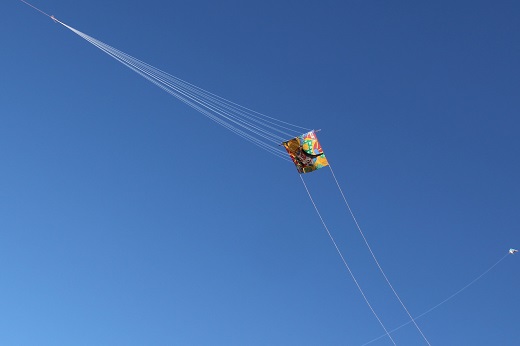 大空で風を受ける相模凧１