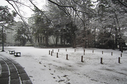 大倉山記念館前の広場