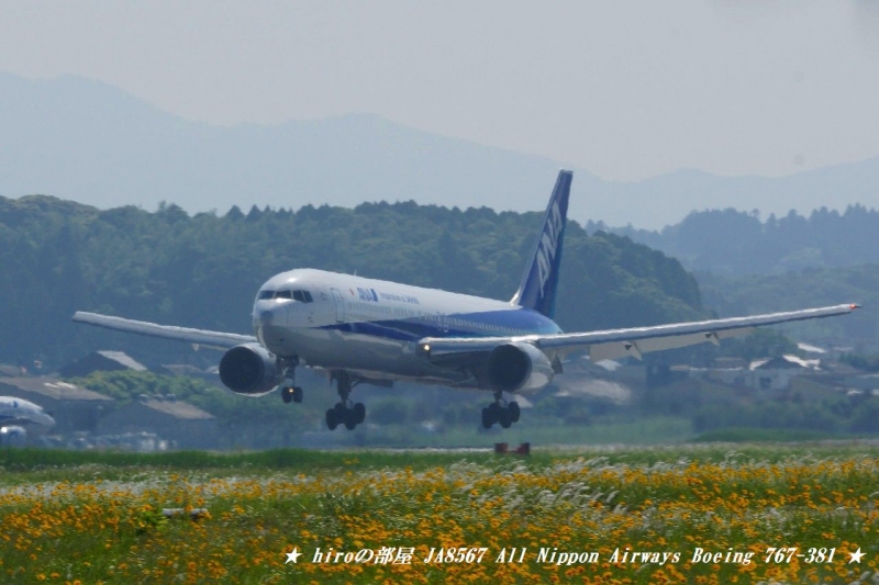 hiroの部屋　JA8567 All Nippon Airways Boeing 767-381
