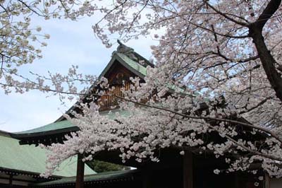 SakuraYasukuni6.jpg