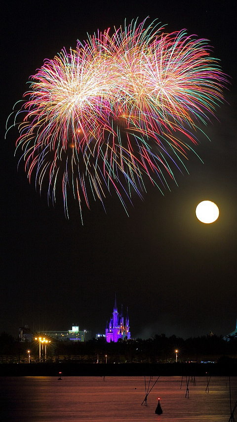 東京ディズニーランド シンデレラ城と満月と花火 東京写真館