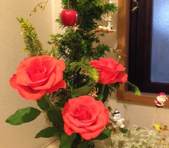 クリスマスの赤いバラ3